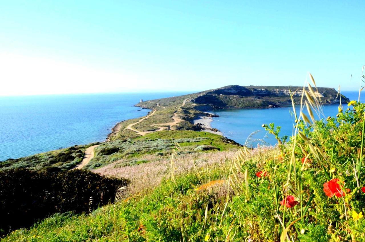 Agriturismo S'Incant'E Sinis San Salvatore  Buitenkant foto