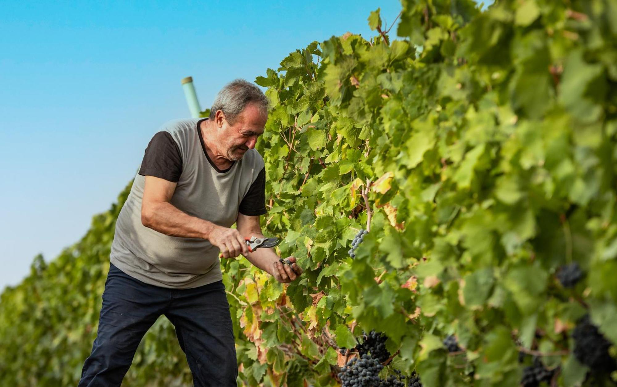 Agriturismo S'Incant'E Sinis San Salvatore  Buitenkant foto